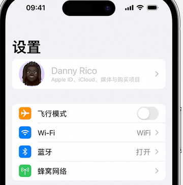 山东appleID维修服务iPhone设置中Apple ID显示为灰色无法使用 