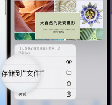 山东apple维修中心分享iPhone文件应用中存储和找到下载文件