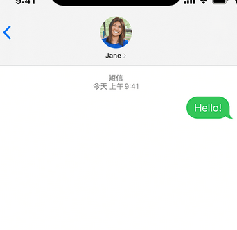 山东apple维修iPhone上无法正常发送iMessage信息