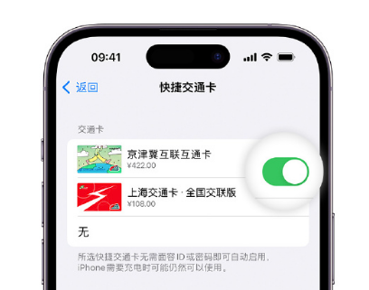 山东apple维修点分享iPhone上更换Apple Pay快捷交通卡手绘卡面 