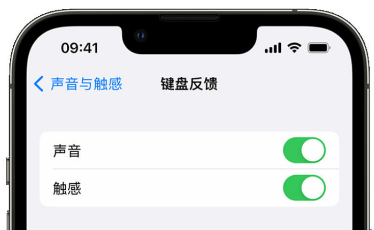 山东苹果手机维修分享iPhone 14触感键盘使用方法 