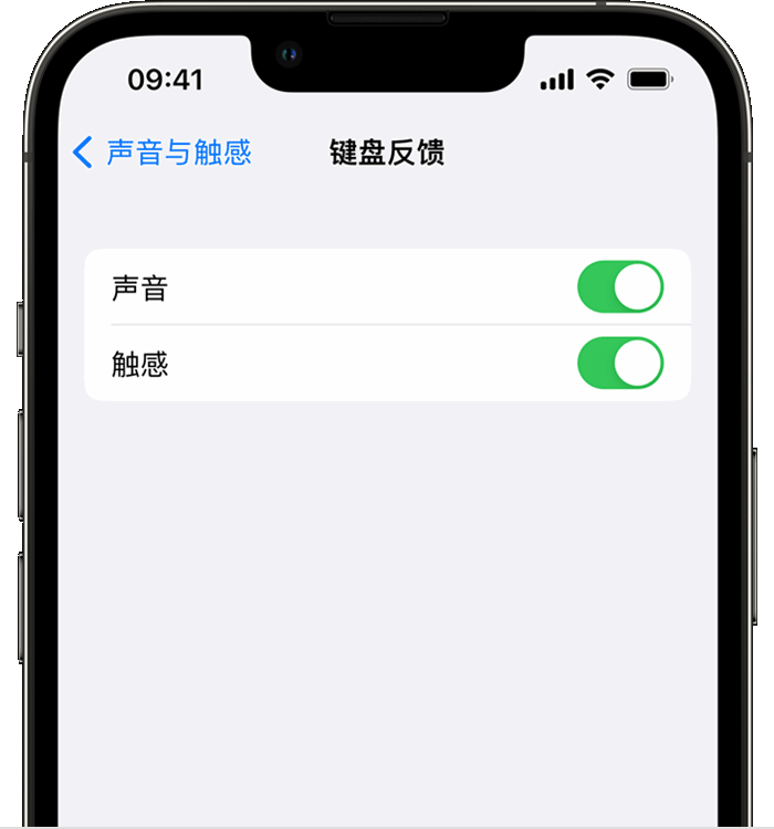 山东苹果14维修店分享如何在 iPhone 14 机型中使用触感键盘 