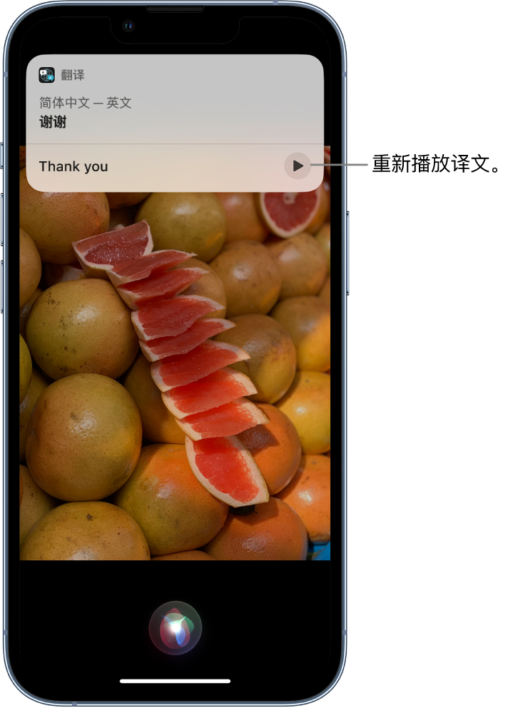 山东苹果14维修分享 iPhone 14 机型中使用 Siri：了解 Siri 能帮你做什么 