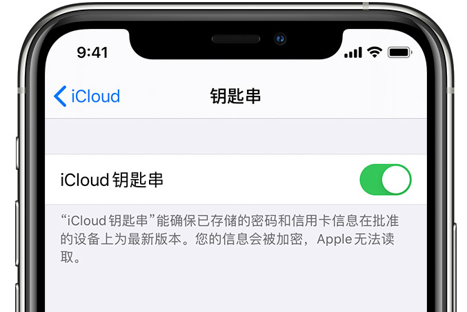 山东苹果手机维修分享在 iPhone 上开启 iCloud 钥匙串之后会储存哪些信息 