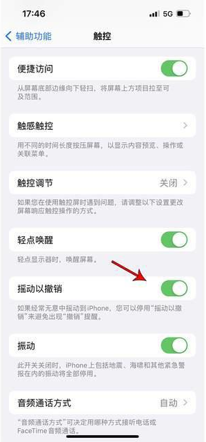 山东苹果手机维修分享iPhone手机如何设置摇一摇删除文字 